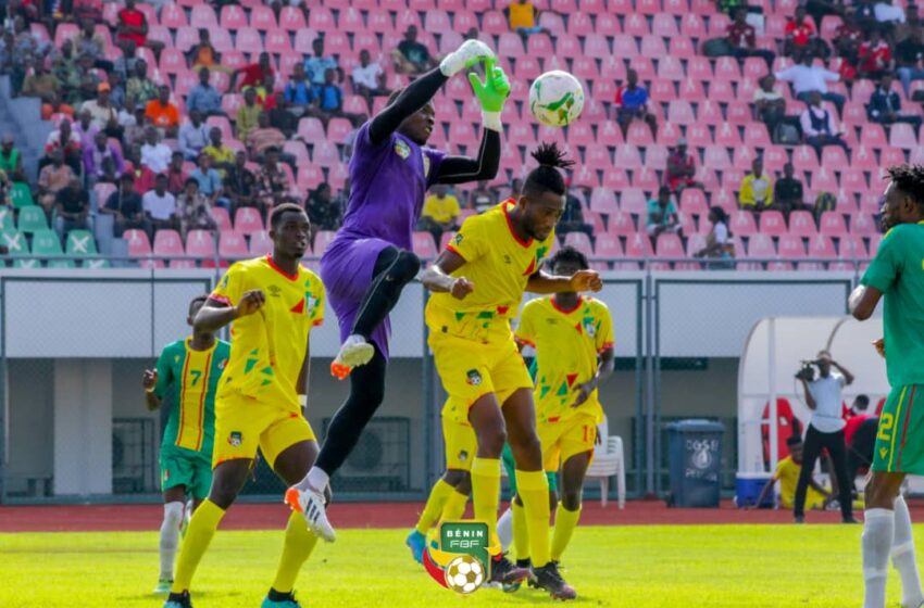 Journée FIFA du mois de Juin: plus de voyage pour les Guépards locaux